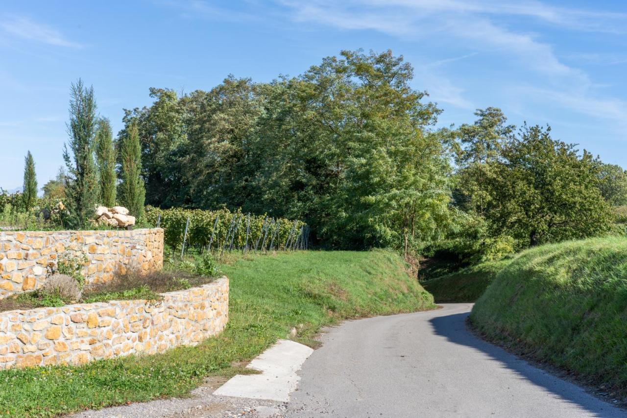 Ferienwohnung Castellberg 海特斯海姆 外观 照片